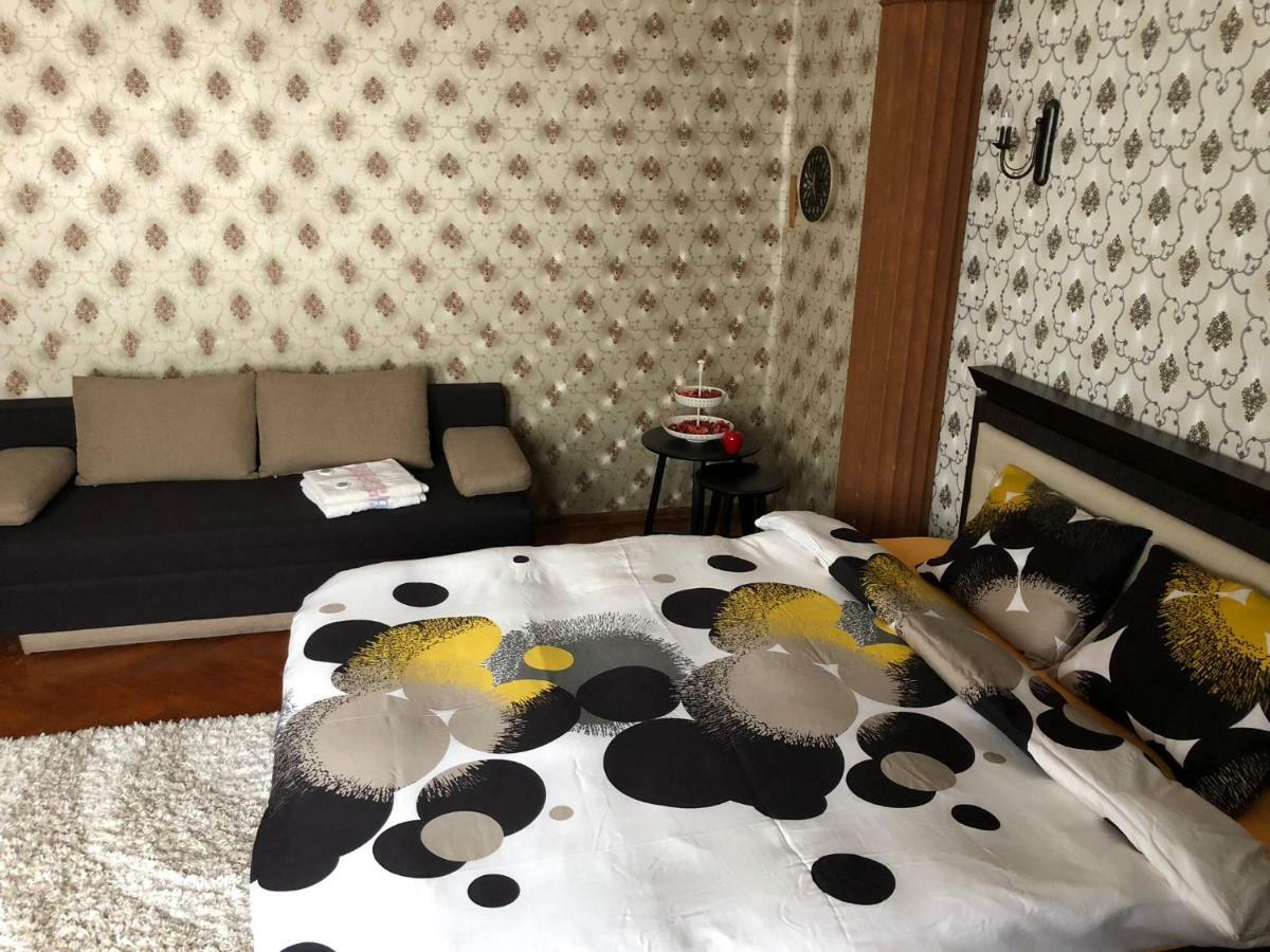 Schei Studio 1 ブラショフ エクステリア 写真